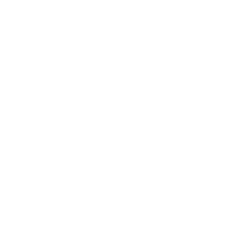 pinata logo